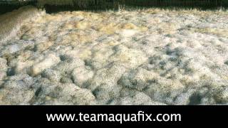 Reducing Foam In A Wastewater Treatment Plant [upl. by Saimon]