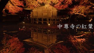 【世界遺産】平泉中尊寺の紅葉  【World Heritage】The Autumn Leaves of Chūsonji Temple（Iwate Japan） [upl. by Moth]