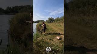 Fail 😂 fishing carp carphunter carping carpfishing lake [upl. by Hanavas]