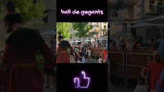 Gegants Bojos a Solsona  Subscribe [upl. by Nulubez]