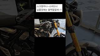 SCRAMBLER 400 X 24년 10월 벌써 1차분 박스깐 실물영접 느낌 완소 색상추천 speed 차이점 외관 현실 트라이엄프 TRIUMPH [upl. by Akenom]