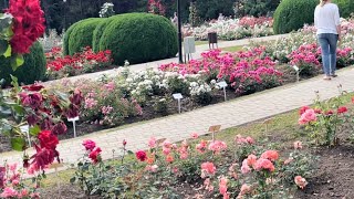 Gradina botanica Iasi  la sugestia voastra [upl. by Lehcor336]