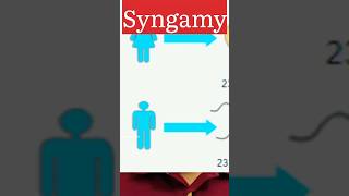 Syngamy biologywalesir syngamy alefemale gamete fusion zygote embryo organisms [upl. by Torres]