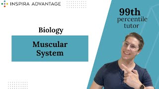 Biology Muscular System  MCAT Crash Course [upl. by Lat]