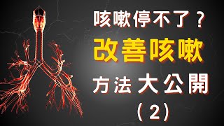 【咳嗽難治療？台灣醫生怕治咳嗽的背後真相下）】咳嗽終極指南 從根本上治療咳嗽Hard to Treat Cough Ultimate Guide to Coughing [upl. by Aimet813]