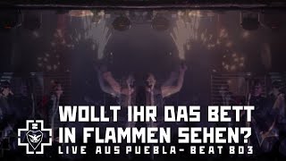 Zerstören Tributo a Rammstein  Wollt Ihr Das Bett In Flammen Sehen [upl. by Greyson]