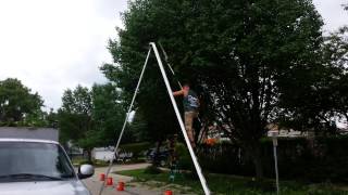 How to Trim a Bradford Pear Tree [upl. by Ailicec256]