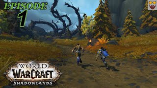 Lets Play WoW  SHADOWLANDS  New Character Leveling  Part 1  Gameplay Walkthrough [upl. by Cull]