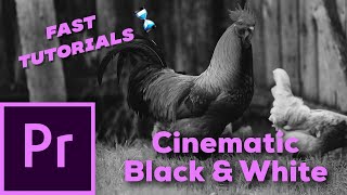 Cinematic Black and White Vintage Look In Adobe Premiere Pro [upl. by Cattan]