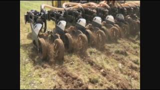 Alabama Strip Till into Henbit [upl. by Guimond]