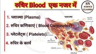 Human Blood  RBCs  WBCs  Platelets  Plasma in Hindi [upl. by Ledniahs]