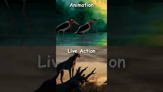 Animation VS Live Action The Lion King Opening shorts thelionking animationvsliveaction [upl. by Ocisnarf]