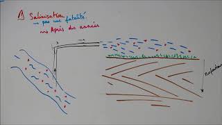 Mauvaises pratiques dirrigation [upl. by Aikel]