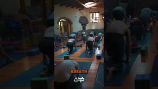 Can Breathwork 🌬️ Transform Your Mind and Body 🧘 [upl. by Anivid171]