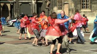 Rudolf Steiner  Eurythmie Flashmob MAK Wien 2011 [upl. by Ynnaffit]