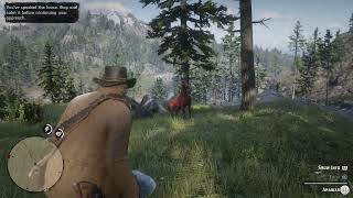 Red Dead Redemption 2 Treasure  Rare Red Arabian Location [upl. by Heppman]