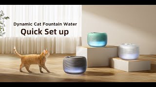 FeelNeedy 25L Pet Water Fountain Quick Set up [upl. by Rennoc]