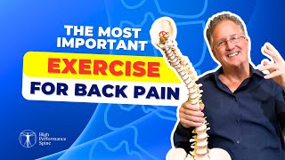 The MOST Important Exercise for Back Pain [upl. by Nerti]