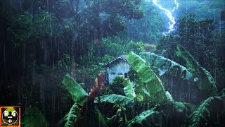 Rainforest Ambience Rain Sounds Jungle Animals and Thunder in the Distance  Relaxing Sleep Sounds [upl. by Eninej]