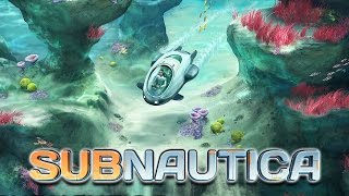 WHAT IS THAT NOISE  Subnautica Part 29 [upl. by Ahsieker]