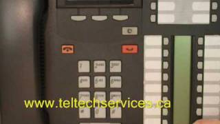 Nortel Phones  Button ID [upl. by Fiora]