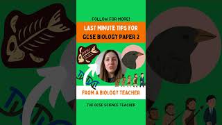 Biology Paper 2 Tips You can do it 👊🍀 [upl. by Kecaj]