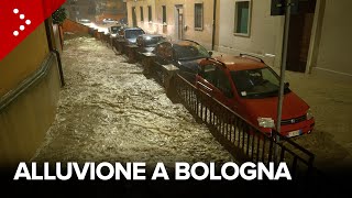 Alluvione a Bologna esonda il fiume Ravone la città inondata [upl. by Kcirttap]