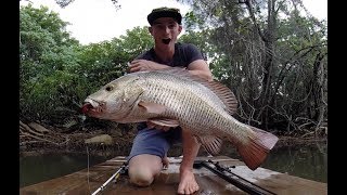 Full Season of Mangrove Jack Fishing Tips Everything I Learnt [upl. by Animahs906]