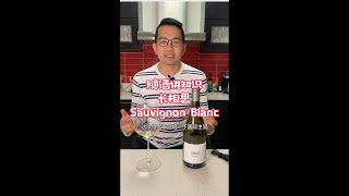 讲解国际白葡萄酒品种中的最后一个： 长相思 Sauvignon Blanc [upl. by Salb]