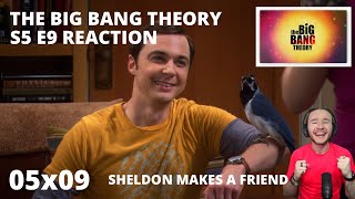 THE BIG BANG THEORY S5 E9 THE ORNITHOPHOBIA REACTION 5x9 SHELDON MAKES A FRIEND [upl. by Eiramanitsirhc916]