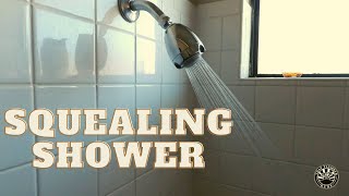 Fixing a Squealing Sputtering Shower  Plumbing Vlog for Apprentice Plumber [upl. by Annaej]