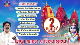 SUPER HIT BHAJAN OF ARABINDA MUDULI JAMATU BHIDAKU NUNHEALBUMKANHA AASE NANDIGHOSA RE [upl. by Aztiram]