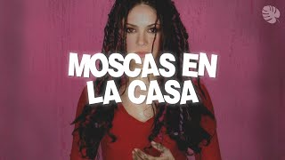 Shakira  Moscas En La Casa Letra [upl. by Atiseret]