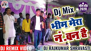 Jisne Banaya Samvidhan Bhim Mera Number One Hai जिसने बनाया संविधान भीम मेरा नंबर बन है  Bhim Dj [upl. by Evangelina]