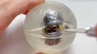 ASMR✨Cutting the transparent tape ball super stress relief 丨Relax and relieve stress [upl. by Llenrrad770]