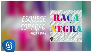 Raça Negra  Esquece Coração Raça Negra Vol 9 Áudio Oficial [upl. by Sabella764]