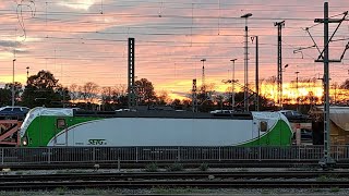 Augsburg Hbf Im Abendlicht LOCMASTA m Autozug SETG Vectron 1000 Lint ICE1 ICE3 Neo amp ICE4 [upl. by Tnirb502]