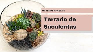 👩🏼‍🌾Como Hacer un terrario de Suculentas 🌵 English subtitles Succulent Terrarium [upl. by Madelene]