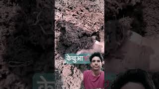 Ye khad kheti ke liye bahut achhi hoti haifarming vermicompost [upl. by Rubel]