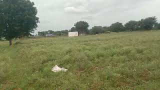 Land for sale in challakere taluk 620acre 2acre kharab 15laks per acre red soil ph9739628504 [upl. by Ian]