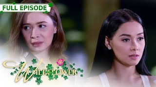 ENG SUB Ep 131  Wildflower  Maja Salvador Tirso Cruz III Aiko Melendez [upl. by Chadwick362]