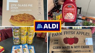 Aldi Grocery Haul and a Few Deals [upl. by Constancia]