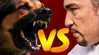 Cesar Millan vs Aggressive Dogs Compilation Video [upl. by Kati]