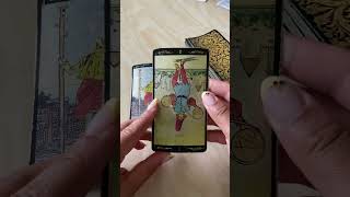 🫣 the person on your mind tarotreadings tarot tarottoday tarot card reading [upl. by Tica]