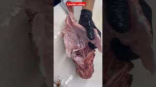 Lionfish cutting ✂️ seafood butterflyfish fish lionfish food fishing streetfood [upl. by Atram]