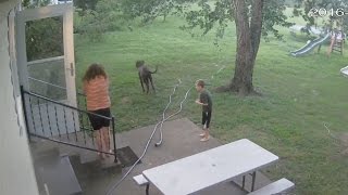 Surveillance Video Tree Falls On Young Girl During Storm [upl. by Lynelle]