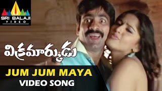 Vikramarkudu Video Songs  Jhum Jhum Maaya Video Song  Ravi Teja Anushka  Sri Balaji Video [upl. by Inga]