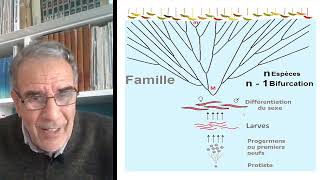 Pour quon en finisse avec Darwinséance 27  Comment se forme une Famille [upl. by Afaw]