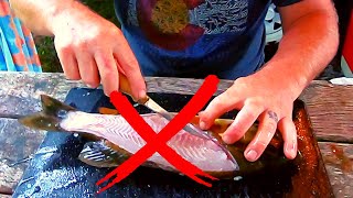 How to Fillet a Smallmouth Bass  No BonesGuts  Step by Step [upl. by Murdocca]