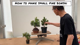 Making Small Pine Bonsai [upl. by Amelia]